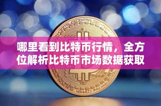 哪里看到比特币行情，全方位解析比特币市场数据获取渠道