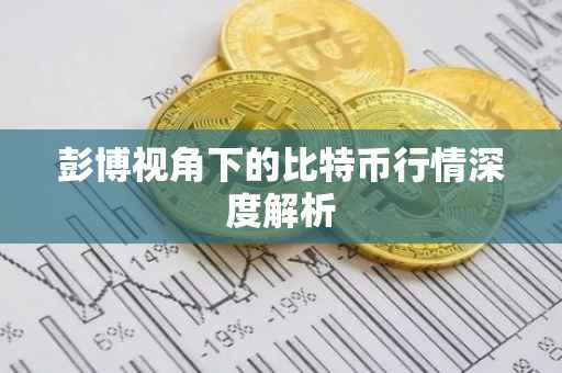彭博视角下的比特币行情深度解析
