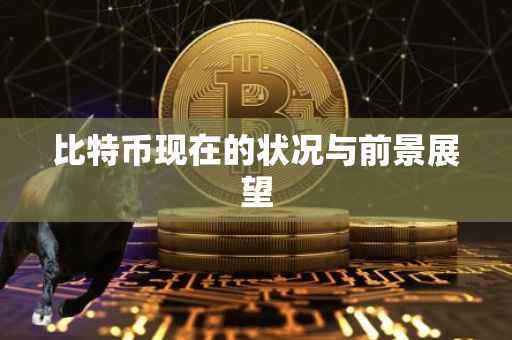 比特币现在的状况与前景展望