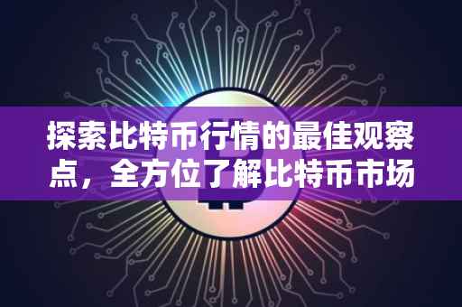 探索比特币行情的最佳观察点，全方位了解比特币市场动态