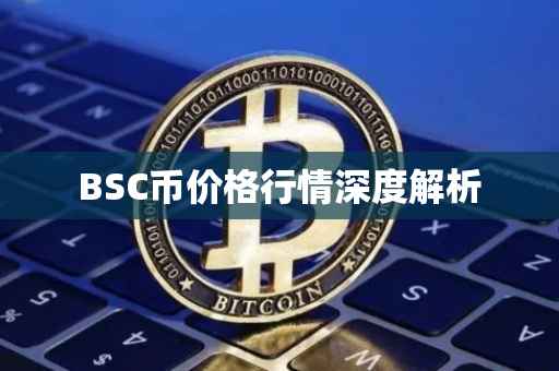 BSC币价格行情深度解析