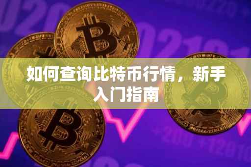 如何查询比特币行情，新手入门指南
