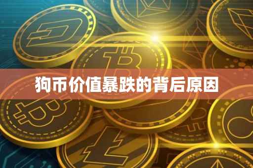 狗币价值暴跌的背后原因