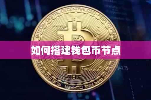 如何搭建钱包币节点