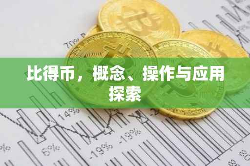 比得币，概念、操作与应用探索