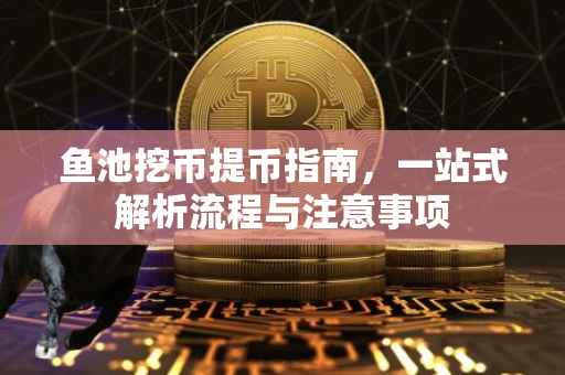 鱼池挖币提币指南，一站式解析流程与注意事项