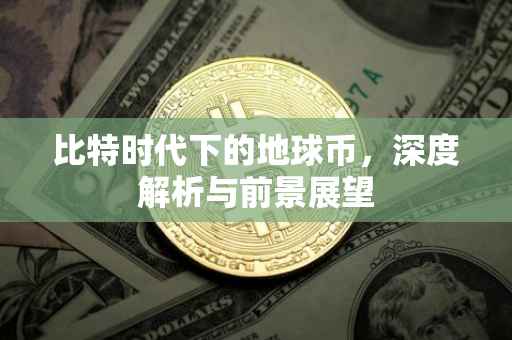 比特时代下的地球币，深度解析与前景展望