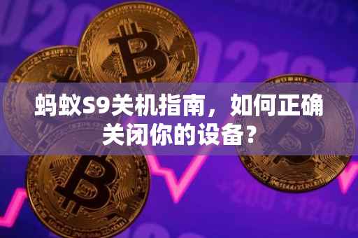 蚂蚁S9关机指南，如何正确关闭你的设备？