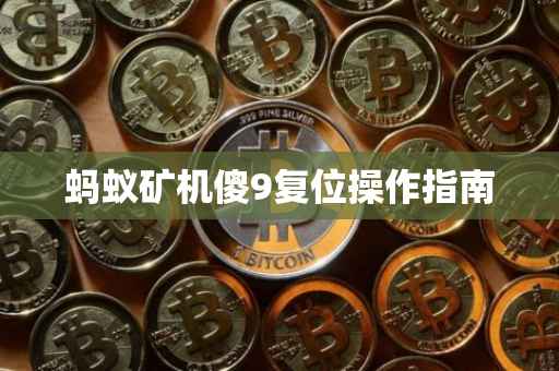 蚂蚁矿机傻9复位操作指南