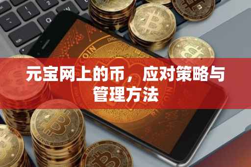 元宝网上的币，应对策略与管理方法