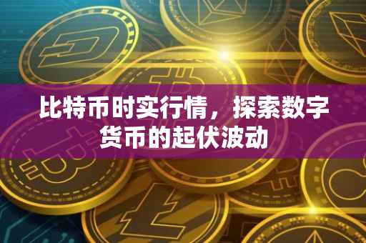 比特币时实行情，探索数字货币的起伏波动