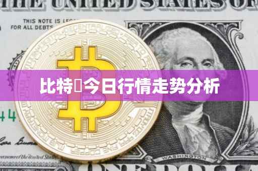 比特帀今日行情走势分析
