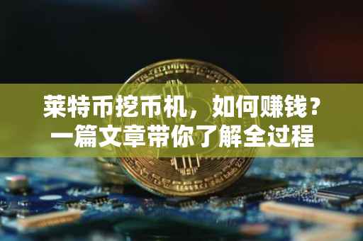 莱特币挖币机，如何赚钱？一篇文章带你了解全过程