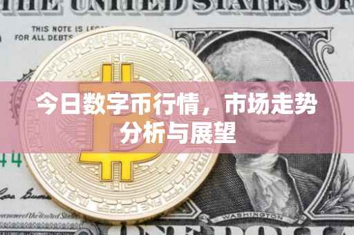 今日数字币行情，市场走势分析与展望