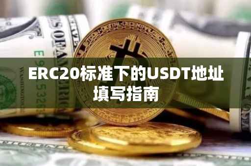 ERC20标准下的USDT地址填写指南
