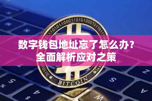 数字钱包地址忘了怎么办？全面解析应对之策
