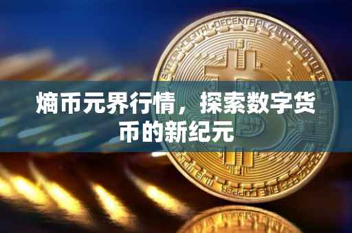 熵币元界行情，探索数字货币的新纪元