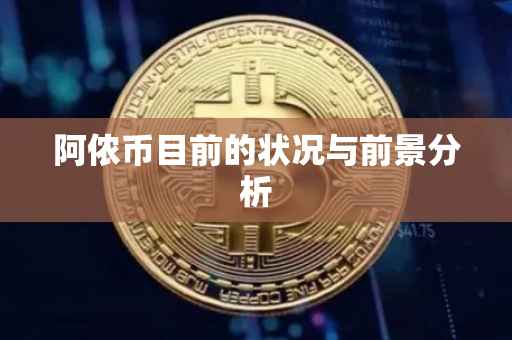 阿侬币目前的状况与前景分析
