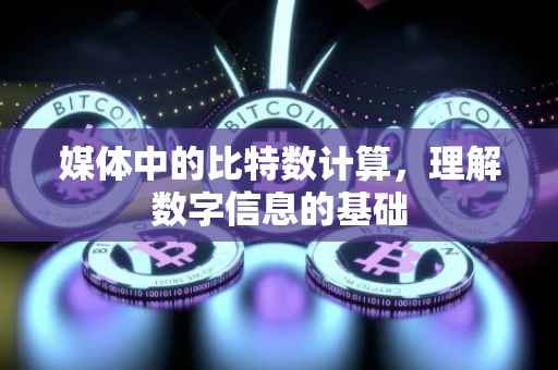 媒体中的比特数计算，理解数字信息的基础