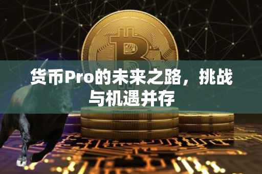 货币Pro的未来之路，挑战与机遇并存