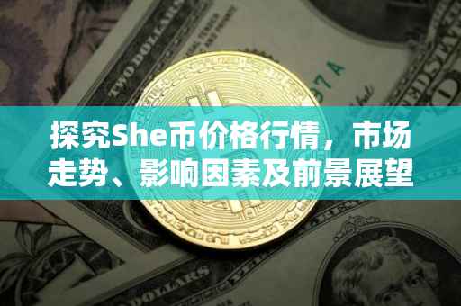 探究She币价格行情，市场走势、影响因素及前景展望