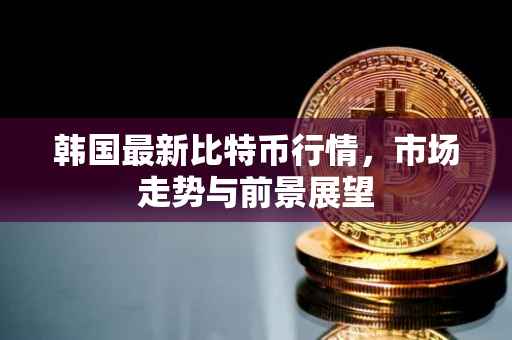 韩国最新比特币行情，市场走势与前景展望