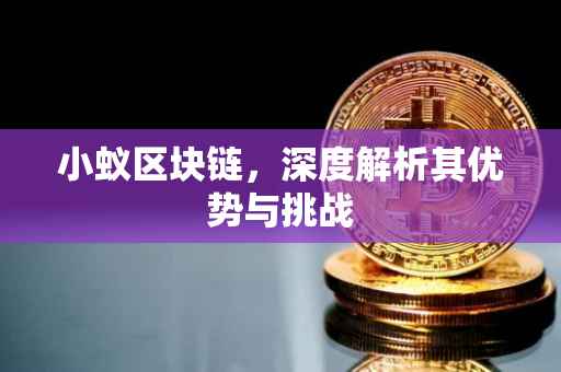 小蚁区块链，深度解析其优势与挑战