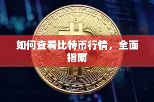 如何查看比特币行情，全面指南