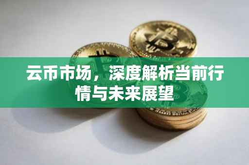 云币市场，深度解析当前行情与未来展望