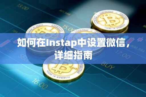 如何在Instap中设置微信，详细指南