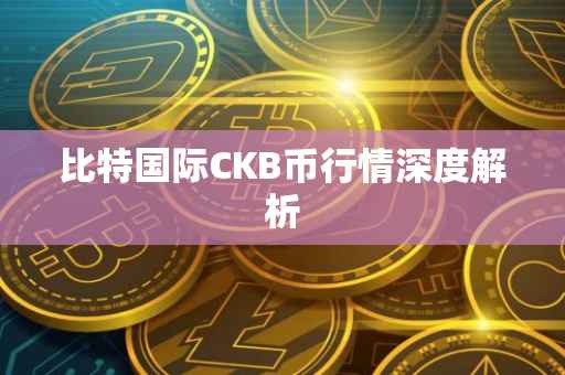 比特国际CKB币行情深度解析