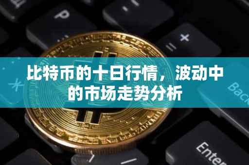 比特币的十日行情，波动中的市场走势分析