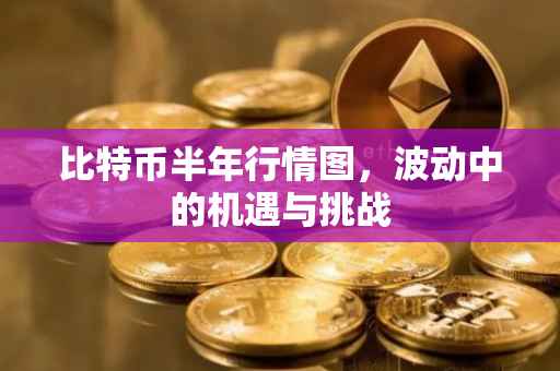 比特币半年行情图，波动中的机遇与挑战