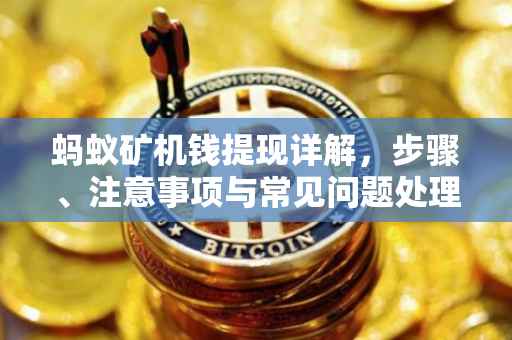 蚂蚁矿机钱提现详解，步骤、注意事项与常见问题处理
