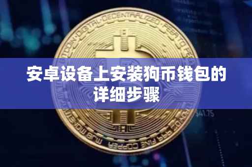 安卓设备上安装狗币钱包的详细步骤