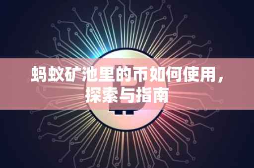 蚂蚁矿池里的币如何使用，探索与指南