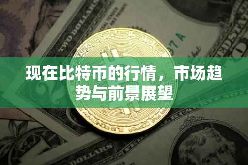 现在比特币的行情，市场趋势与前景展望