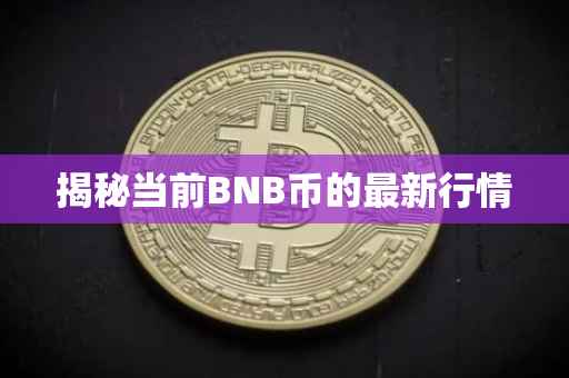 揭秘当前BNB币的最新行情