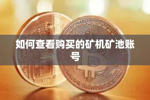 如何查看购买的矿机矿池账号
