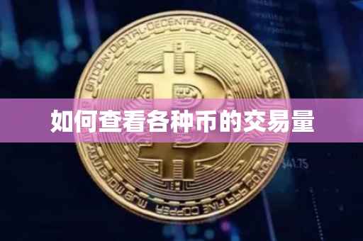 如何查看各种币的交易量