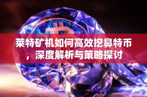 莱特矿机如何高效挖鼻特币，深度解析与策略探讨