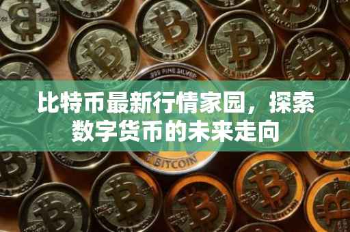 比特币最新行情家园，探索数字货币的未来走向