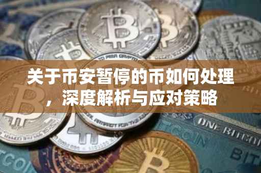 关于币安暂停的币如何处理，深度解析与应对策略