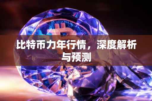 比特币力年行情，深度解析与预测