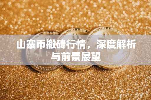 山寨币搬砖行情，深度解析与前景展望
