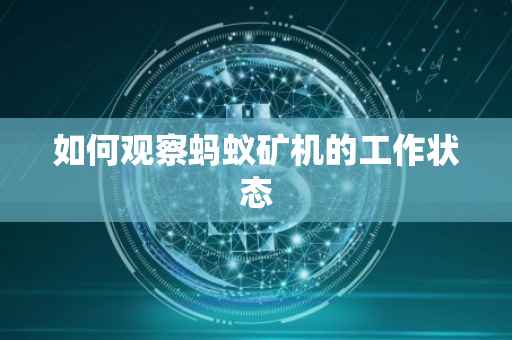 如何观察蚂蚁矿机的工作状态