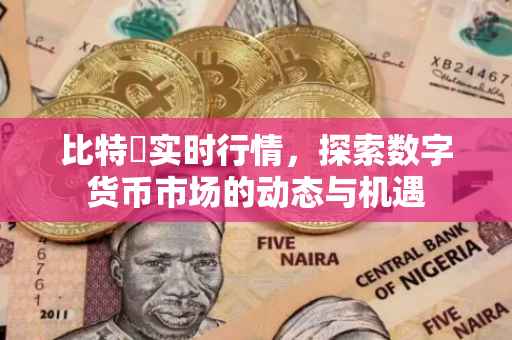 比特帀实时行情，探索数字货币市场的动态与机遇