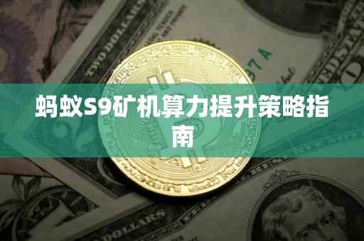 蚂蚁S9矿机算力提升策略指南