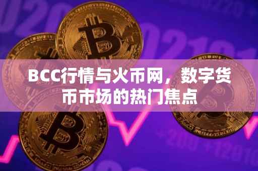 BCC行情与火币网，数字货币市场的热门焦点
