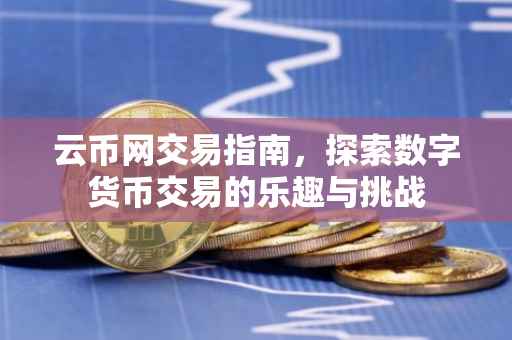 云币网交易指南，探索数字货币交易的乐趣与挑战